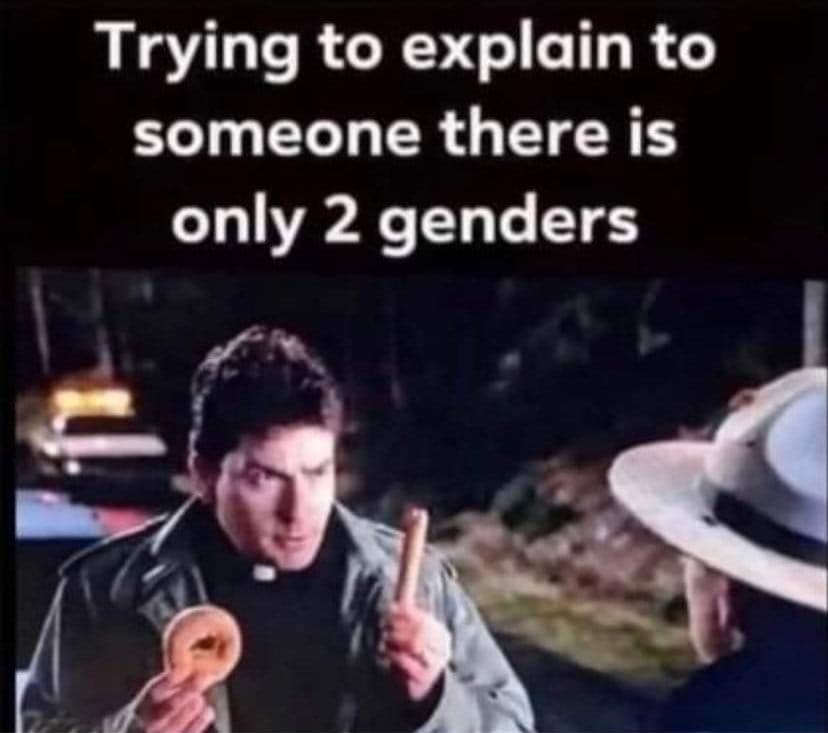 Trying to explain to someone there are only 2 genders.