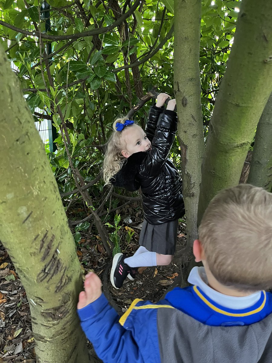 The weather this week has been fabulous! The children in #EYFS were very excited to get back in our forest area.#rollonsummer