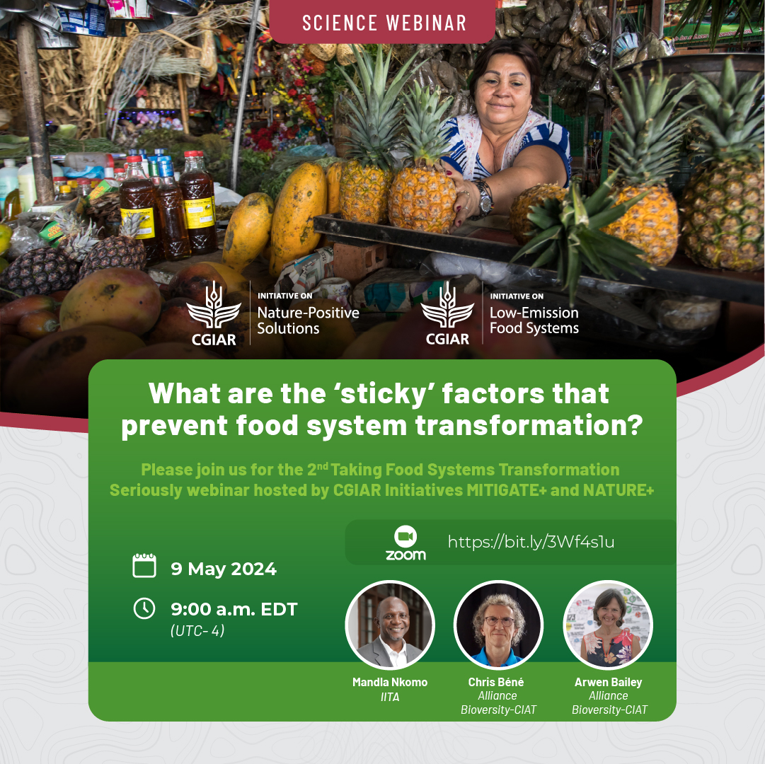 📢 Save the date! 📍 Join us May 9 for the webinar 'What are the 'sticky' factors that prevent #foodsystemstransformation?' hosted by @CGIAR Initiatives MITIGATE+ and NATURE+ with experts from the Alliance, @IFPRI and @IITA_CGIAR. Register below!👇 alliancebioversityciat.org/events/webinar…