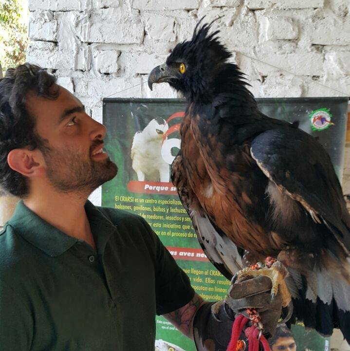 🌟 Juan Restrepo: Ron Magill Conservation Scholarship Recipient 🌟 Congrats to Juan, advised by Vanessa Hull, for receiving this scholarship! He'll use it to study the social-ecological factors driving human-Andean Condor conflicts in Ecuador. 🦅🎉 @jsrestrepoc @RonMagill
