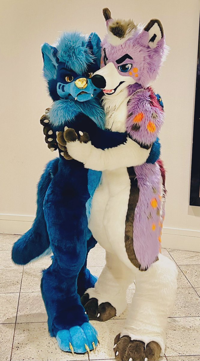 A pair of outlaws team up on #FursuitFriday!! 🟦: @OutlawWolfnix ✂️: @FurZombie