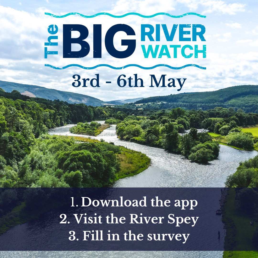 Spey Fishery Board (@speyfishboard) on Twitter photo When it comes to restoring our rivers, we need more information about how they're doing. 🙏
This weekend, the Big River Watch is back and you can help by providing information about the Spey.😁
Download the app by searching for "Big River Watch"
#BigRiverWatch <a href="/theriverstrust/">The Rivers Trust</a> When it comes to restoring our rivers, we need more information about how they're doing. 🙏
This weekend, the Big River Watch is back and you can help by providing information about the Spey.😁
Download the app by searching for "Big River Watch"
#BigRiverWatch <a href="/theriverstrust/">The Rivers Trust</a>
