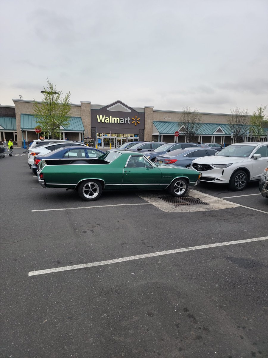 EL CAMINO SPOTTED