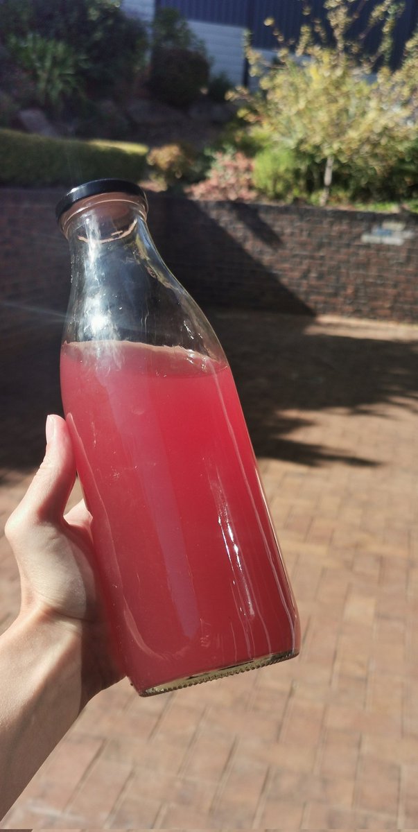 My homemade pre workout elixir

No bullshit fairy floss popping candy flavoured chemical artificial  loaded powder... 

INGREDIENTS:
-spring water
-organic pomegranate concentrate
-celtic salt

Simple.

What do you have for pre workout?