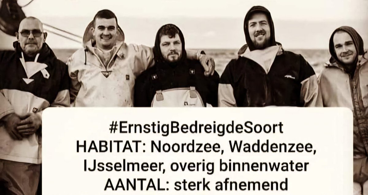 Kan de #Kabinetsformatie echt niet sneller <a href="/geertwilderspvv/">Geert Wilders</a> <a href="/PieterOmtzigt/">Pieter Omtzigt</a> <a href="/lientje1967/">Caroline van der Plas</a> <a href="/DilanYesilgoz/">Dilan Yesilgöz - Zegerius</a>? 

Het water staat ons aan de lippen. #Toekomstperspectief voor de visserij is keihard nodig <a href="/BoerBurgerB/">BBB BoerBurgerBeweging 🍀🍀🍀</a> <a href="/NwSocContract/">Nieuw Sociaal Contract</a> <a href="/VVD/">VVD</a> &amp; <a href="/PVVpers/">PVV | Partij voor de Vrijheid</a>. 🙏