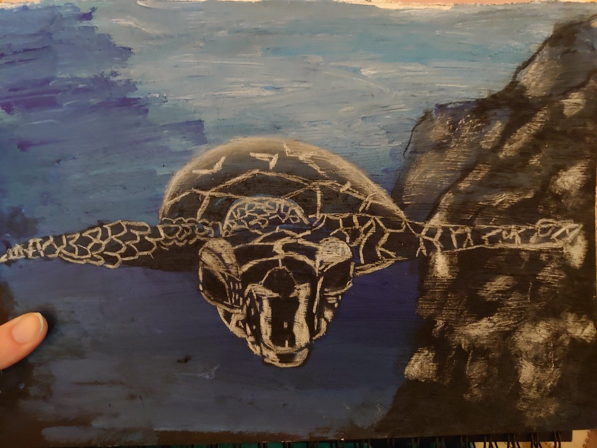 Hawksbill Sea Turtle 

Acrylic Painted Background and charcoal!

#artist #Turtle #EndangeredSpecies
#mixedmedia