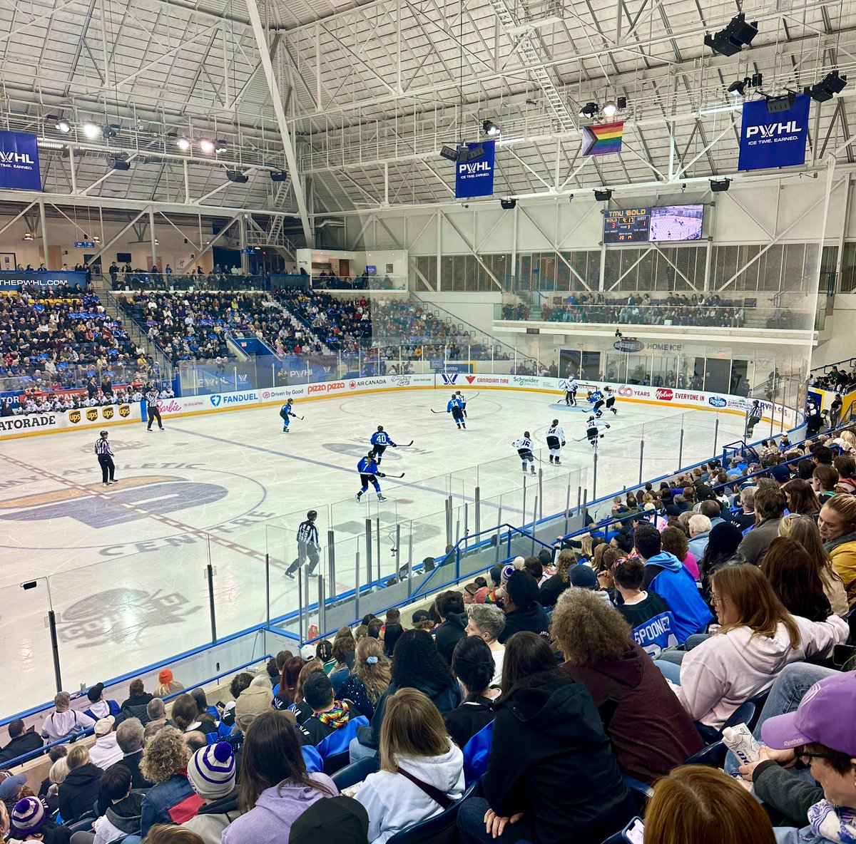 This week was filled with great things,

 - I presented with a stellar panel for @CCN_RCC’s webinar on women in #concussion research

- Project ACL launched

- Went to Pride Night & witnessed @PWHL_Toronto clinch first place in the league

#brainhealth #femaleathlete #pwhl