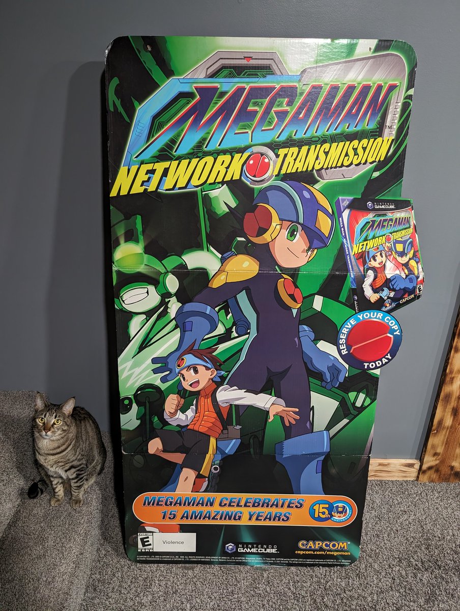 Day #3 of the #MegaManChallenge!  Here's a very large store display for the release of Mega Man Network Transmission for the GameCube!  Tiny cat for scale!  😁

#MegaMan #Rockman #Capcom #Gaming #Gamer #Collection #Collecting