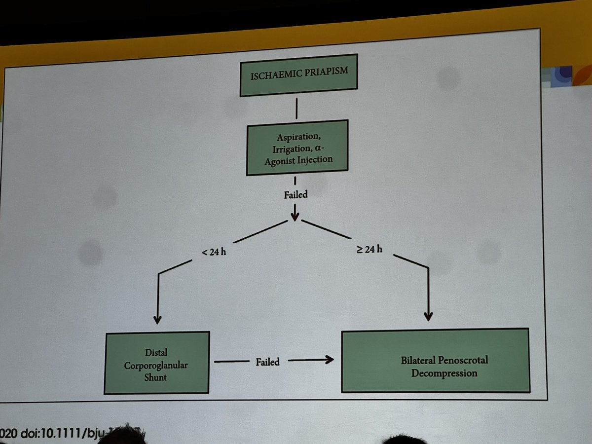 Excellent discussion of treating priapism as compartment syndrome. Helpful tips and recommendations! Penoscrotal decompression is the way forward for patients with priapism >24 hours.