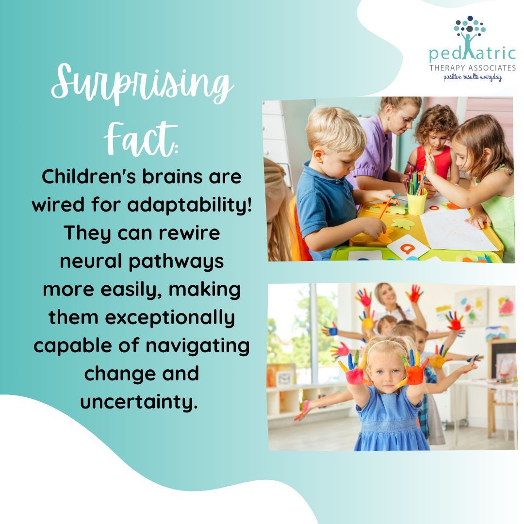 Surprising fact: Children's brains are wired for adaptability! They can rewire neural pathways more easily, making them exceptionally capable of navigating change and uncertainty. #pediatrictherapyassociates #AmazingBrains #ResilientKids