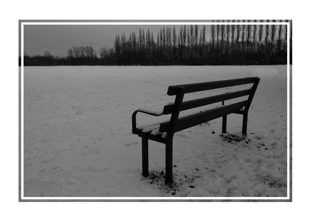 A #park #bench has #nobody to sit during a cold #snowy #day in #winter. It does not #snow that often in #Didsbury #Manchester so when it does, people take the opportunities that come along to enjoy the white #scenery. #ThePhotoHour #picoftheday. Follow @photos_dsmith to see more.