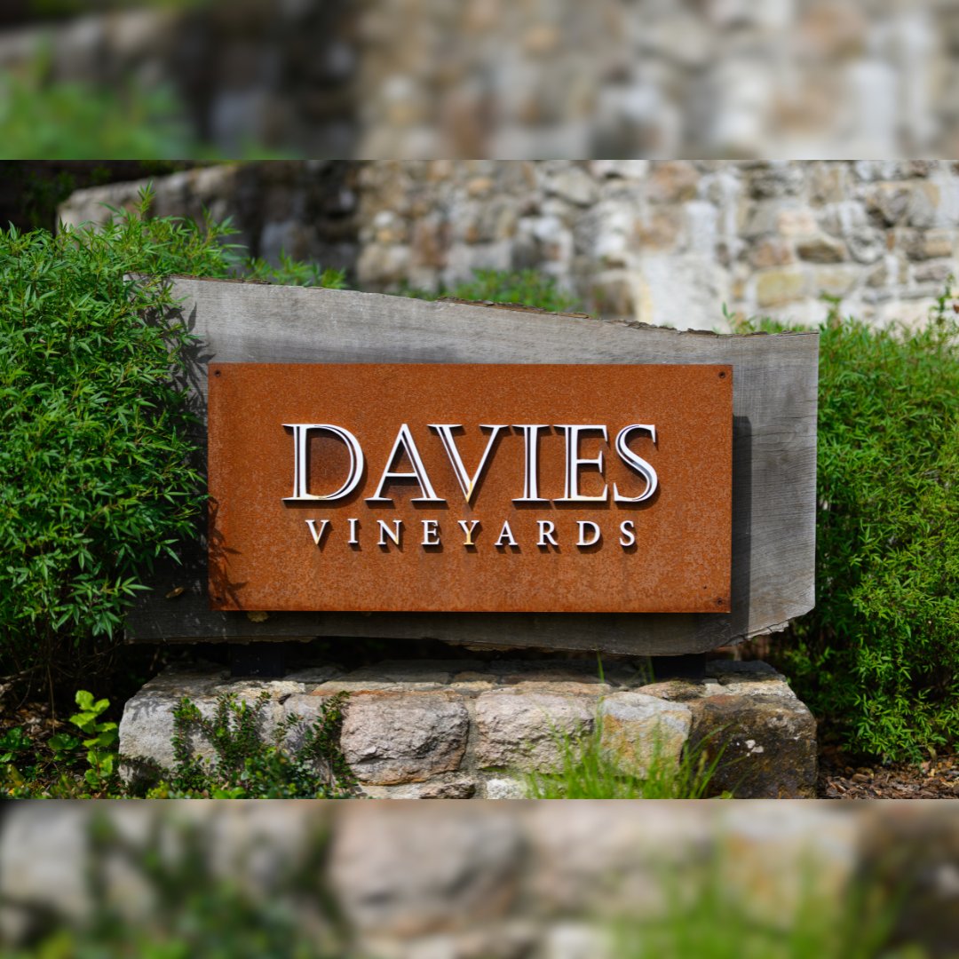 Where every season is wine season. Welcome to Davies Vineyards! 🍷

#daviesvineyards #sthelena #napavalley #napavalleywinery #winecountry #visitnapavalley