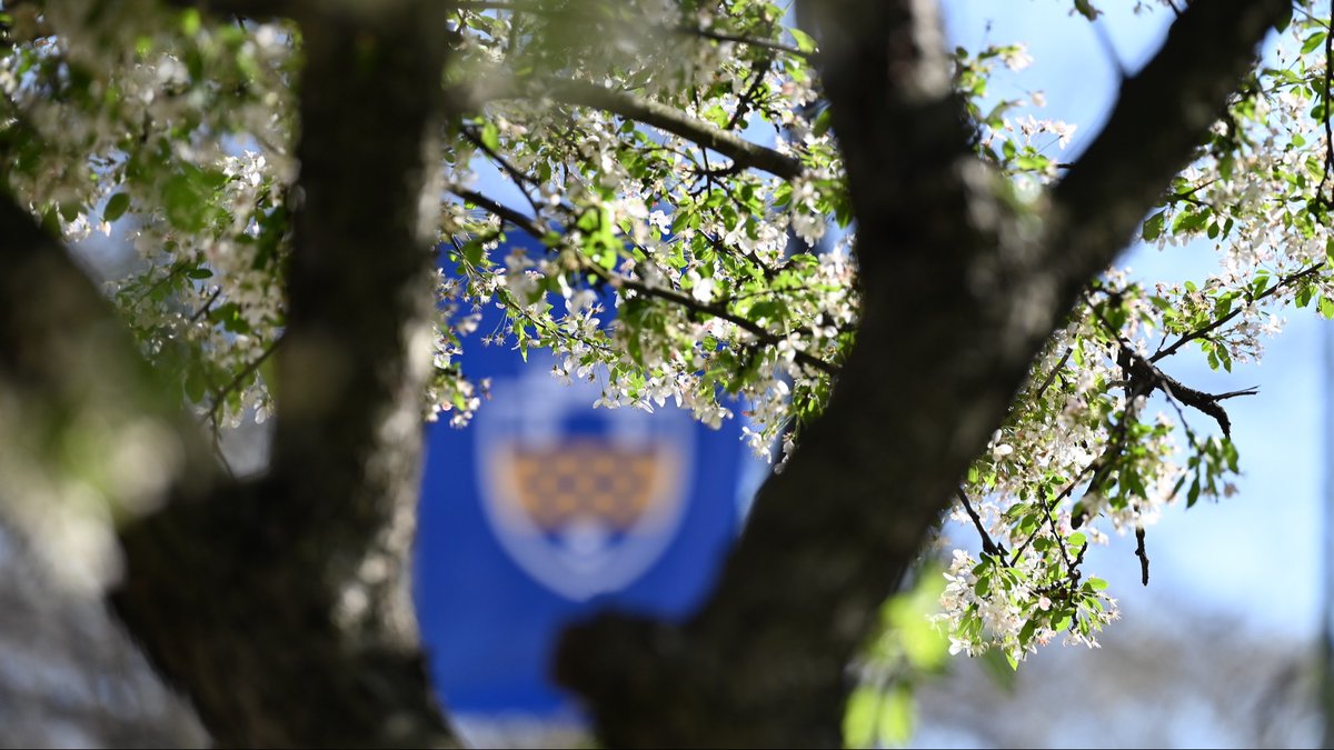 Pitt earns the AASHE STARS Gold designation, reaffirming its commitment to sustainability! 🌿 This recognition reflects Pitt’s ongoing dedication to sustainable solutions and places it at the forefront of higher education sustainability performance. pitt.ly/4ddqpUJ