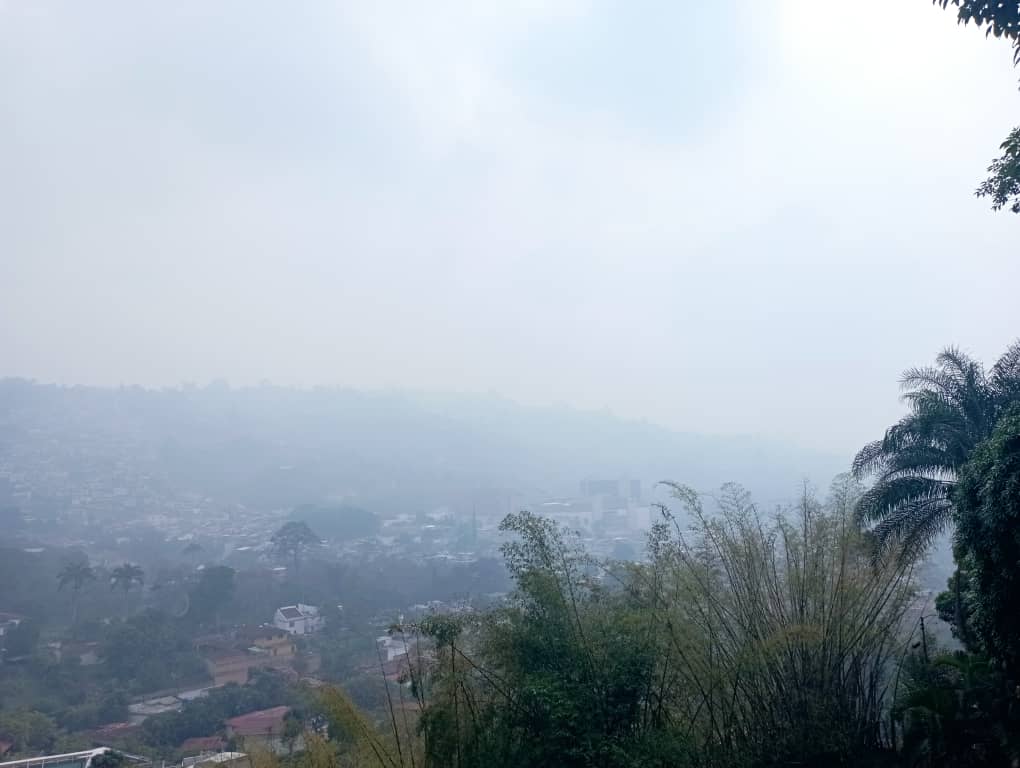 Fenómeno matutino🧐🤔🙄 desde las 7 am y aún son las 1138am o aire del sahara u otra explicación más👆 no es👆 olor de incendios forestales #ElHatillo @CircuitoExitos @albaniloz @Jose_Pisano @RodriguezGladys @rafaelarraiz @LilaVanorio con aire fresco en las montañas !! #Caracas