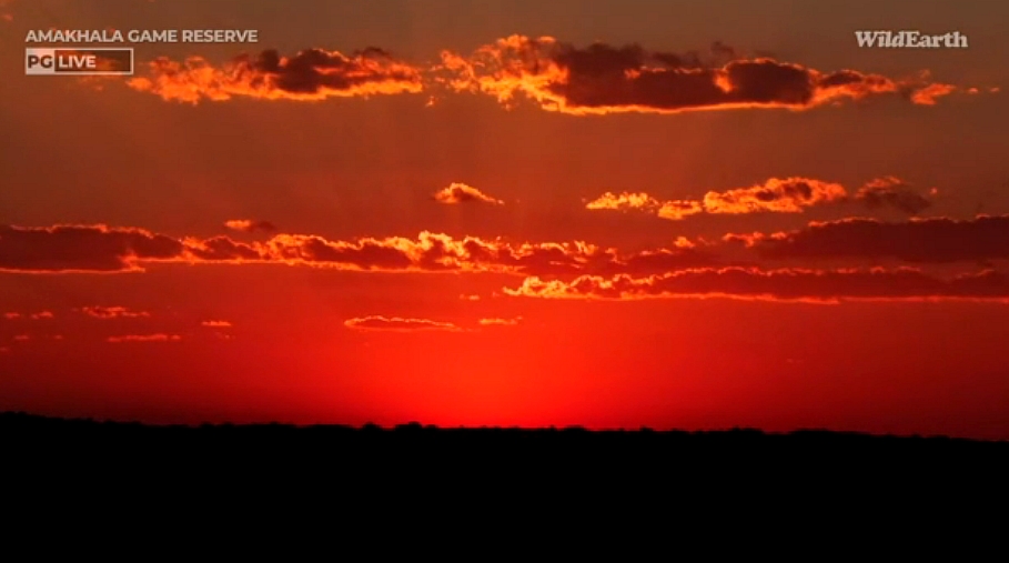 It is almost impossible to watch a sunset and not dream.  #wildearth