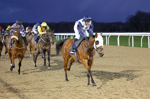 Joining us for racing tonight? Here is all you need to know ⬇️ FIRST RACE: 17:35 LAST RACE: 21:00 RACE TYPE: FLAT RACES: 7 GOING: STANDARD Tickets are available online and at the gate 👉brnw.ch/21wJrw9 *Please be aware that this is also Student Night*