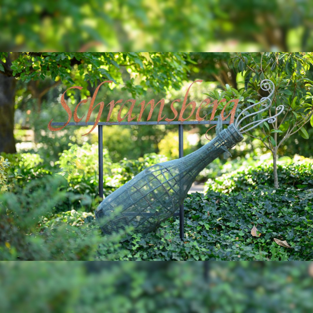 Where every sip tells a story. Welcome to Schramsberg Vineyards! 🥂🍾 #schramsberg #napavalley #visitnapavalley #calistoga #winecountry #napavalleywinery #winetasting