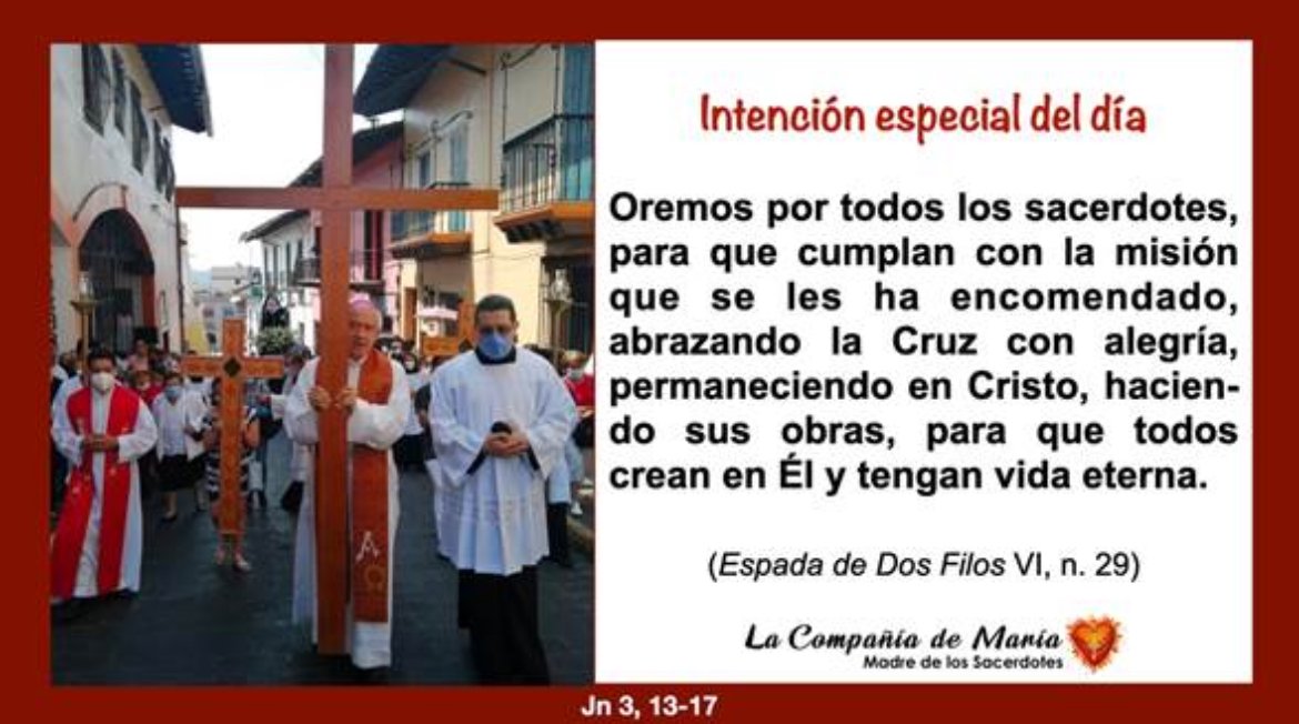 Oramos por todos los sacerdotes 🙏 #sacerdote #iglesiacatolica #evangelio #oracion #maternidadespiritual @IglesiaMexico @ArquidiocesisT