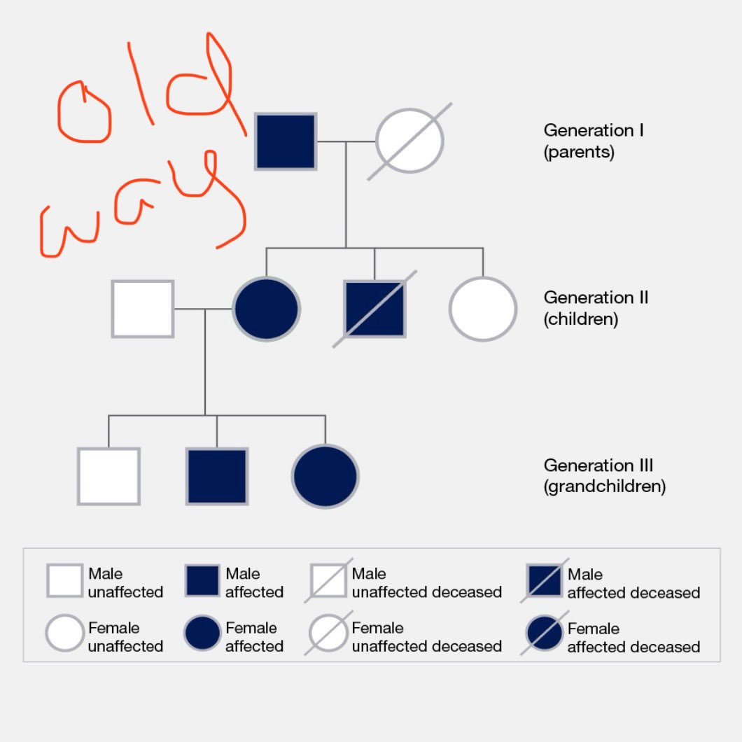 Notes from the Bay Area: My son’s biology class was learning how to make a “pedigree” which is a chart that tracks the inheritance of a trait through family generations. Females are circles and males are squares. After explaining the whole chart the teacher is like “I meant to…