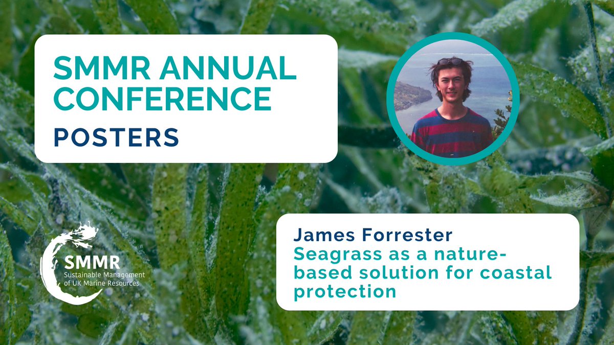 #SMMRConf24 poster highlights 🐬

James Forrester of @LivUni discusses testing #seagrass as a nature-based solution for coastal protection in Morecambe Bay, through the integration of a habitat suitability model for Zostera marina and the Delft3D hydrodynamic model. (1/5)