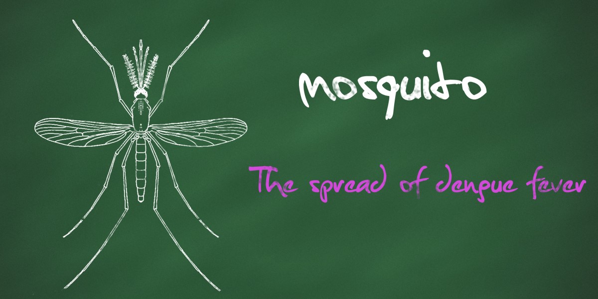 Planning a trip abroad? Check our global #dengue risk reminder: travelhealthpro.org.uk/news/772/globa…