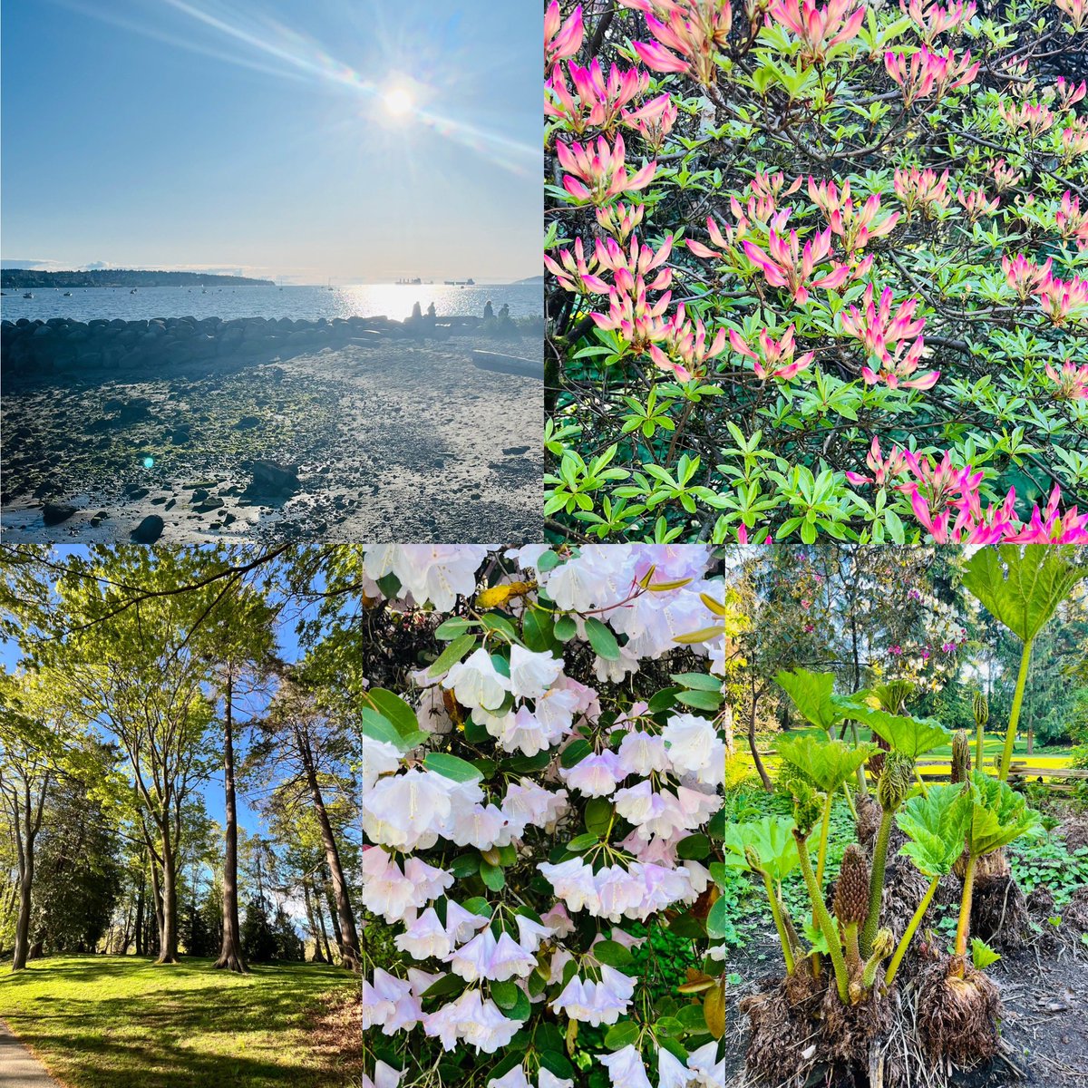Crystal Dawn Langton (@cdlangton) on Twitter photo Connecting with provincial partners and colleagues on #feedingfutures and keeping bellies full. Fed bellies are brains that can learn. A beautiful afternoon walk to top it off. <a href="/SD27_CC/">School District No. 27</a> <a href="/LenardonCheryl/">Cheryl Lenardon</a> Connecting with provincial partners and colleagues on #feedingfutures and keeping bellies full. Fed bellies are brains that can learn. A beautiful afternoon walk to top it off. <a href="/SD27_CC/">School District No. 27</a> <a href="/LenardonCheryl/">Cheryl Lenardon</a>