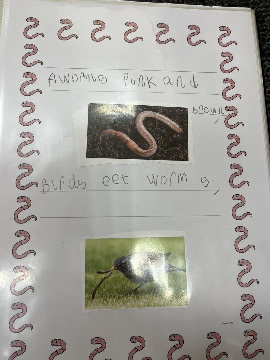 Reception are now authors! They have written a fantastic information book all about worms. Here is a sneaky peak! #curiousabouttheworld