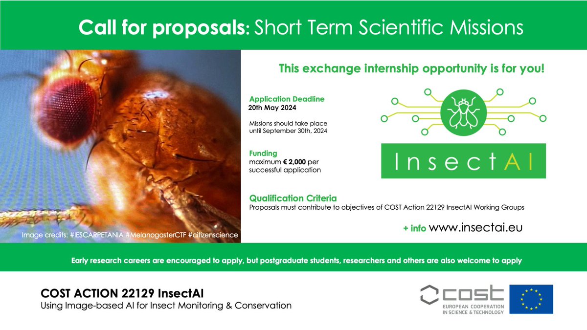 Are you interested in applying #AI to #biodiversity conservation, particularly insects?📷🐞🪲🐛🐝🦋🪰👁️ #COSTaction @InsectAIers offers grants to explore projects abroad, expand your network, and contribute to insect conservation. 🔥Apply by May 20th! 👉insectai.eu