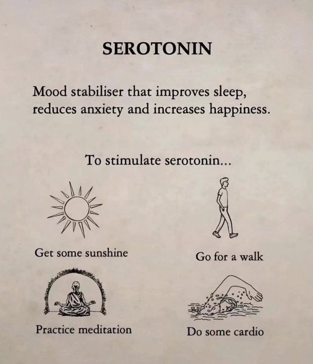 How to Hack Your 4 Happy Hormones. 1. Serotonin