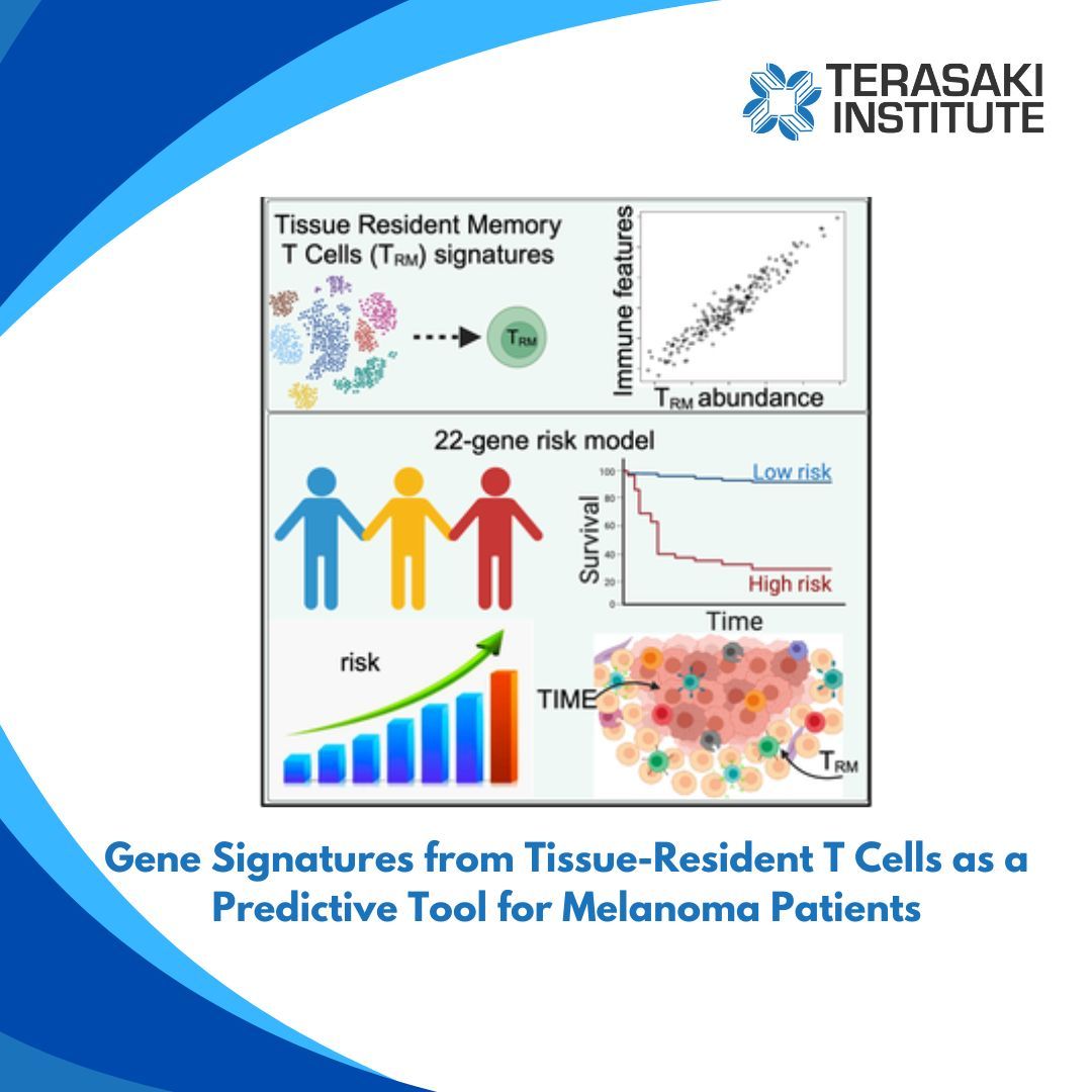An analytical study conducted at the Terasaki Institute, has revealed an association between favorable survival outcomes for melanoma patients and the presence of higher populations of tissue-resident memory T cells (TRM). 🧫 buff.ly/44rMICi #TerasakiInstitute #TRM