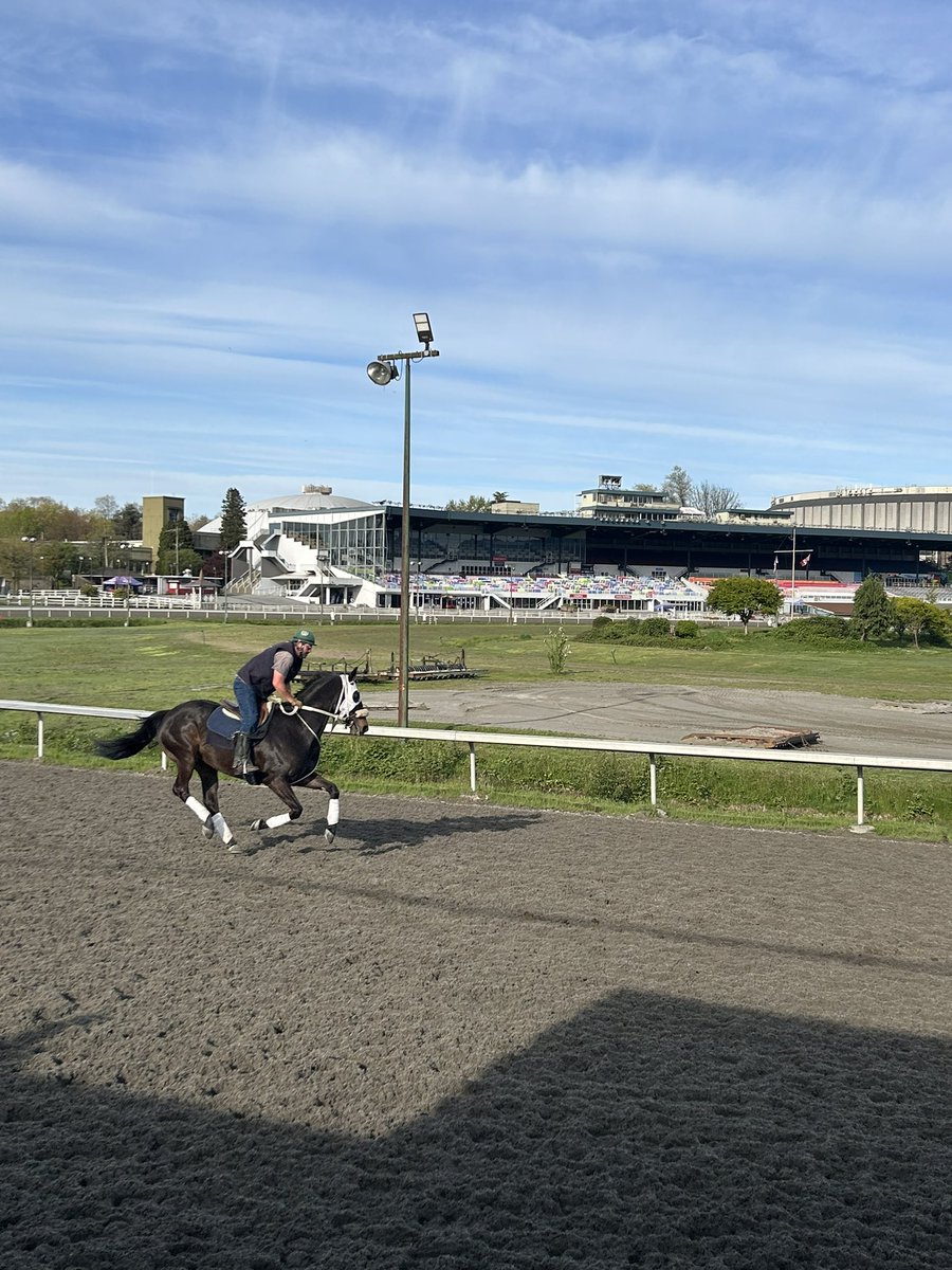 Horses &amp; family before breakfast = the best start to the day. 🥰 AND tomorrow is <a href="/KentuckyDerby/">Kentucky Derby</a> Day at <a href="/hastingsraces/">Hastings Racecourse</a> too! ☀️ Post time 2:30pm. ❤️🏇🇨🇦 <a href="/BCRacebook/">Racebook</a>