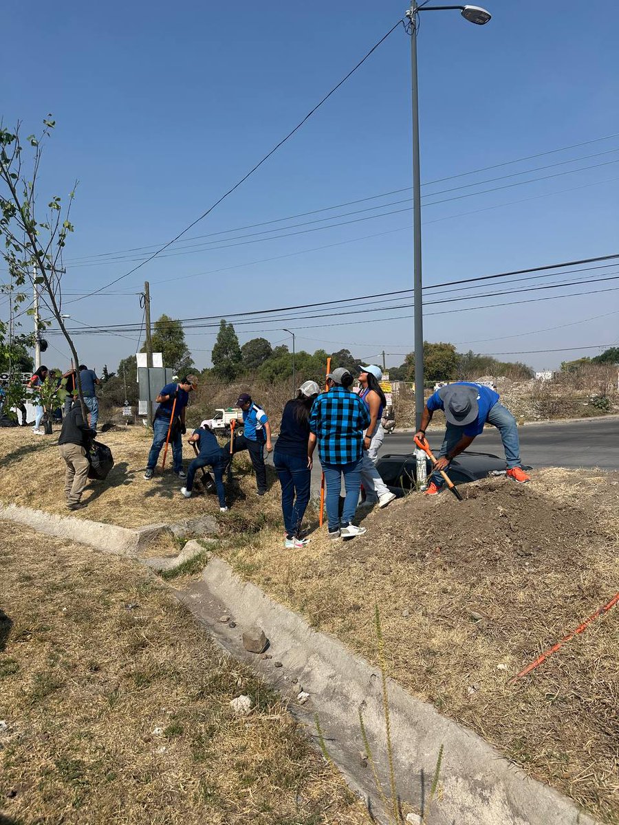 AmbientePuebla's tweet image. #Informamos  Cuidando el Medio Ambiente, maestros y alumnos del IPETH  plantaron 60 🌳 árboles:  sicomoros, liquidambar y pata de vaca; para conservar  verde 💚 su escuela.