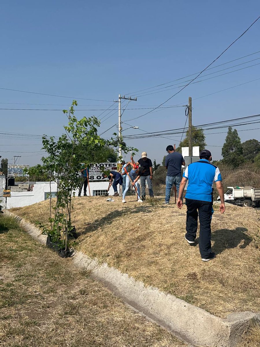 AmbientePuebla's tweet image. #Informamos  Cuidando el Medio Ambiente, maestros y alumnos del IPETH  plantaron 60 🌳 árboles:  sicomoros, liquidambar y pata de vaca; para conservar  verde 💚 su escuela.