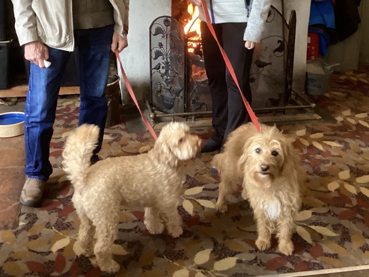 Big welcoming fire burning in The Greyhound in #Keston today. Surely it can’t be 3rd May?! Lovely lunch with close friends and their two adorable dogs in this very friendly pub. #bromley #kent @SallyWeather @ChrisPage90