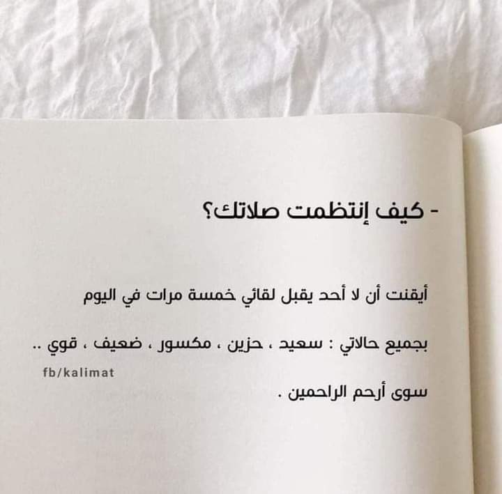 🤎🤎🤎🤎🤎🤎🤎🤎🤎🤎🤎