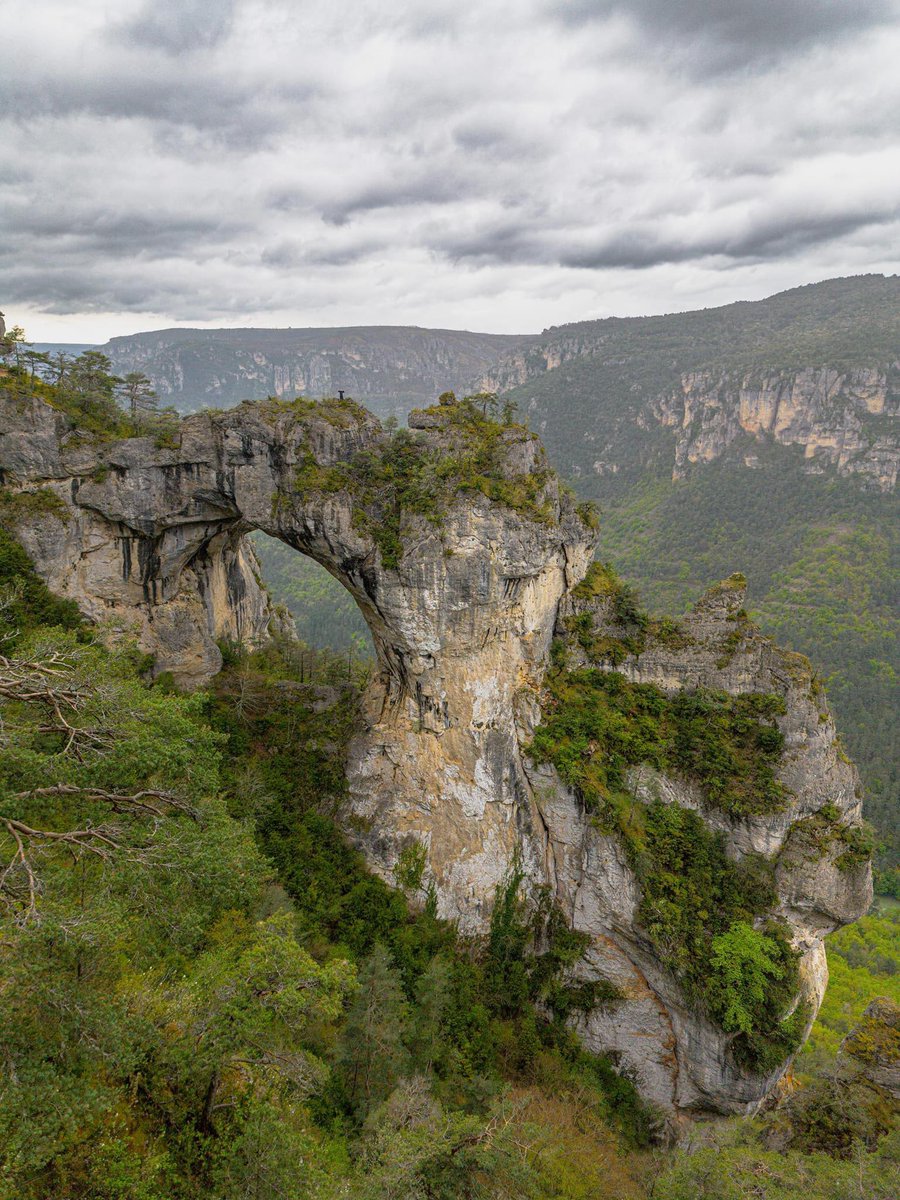 La bosse du vieux ✨

Gorges du Tarn, Lozère 📸