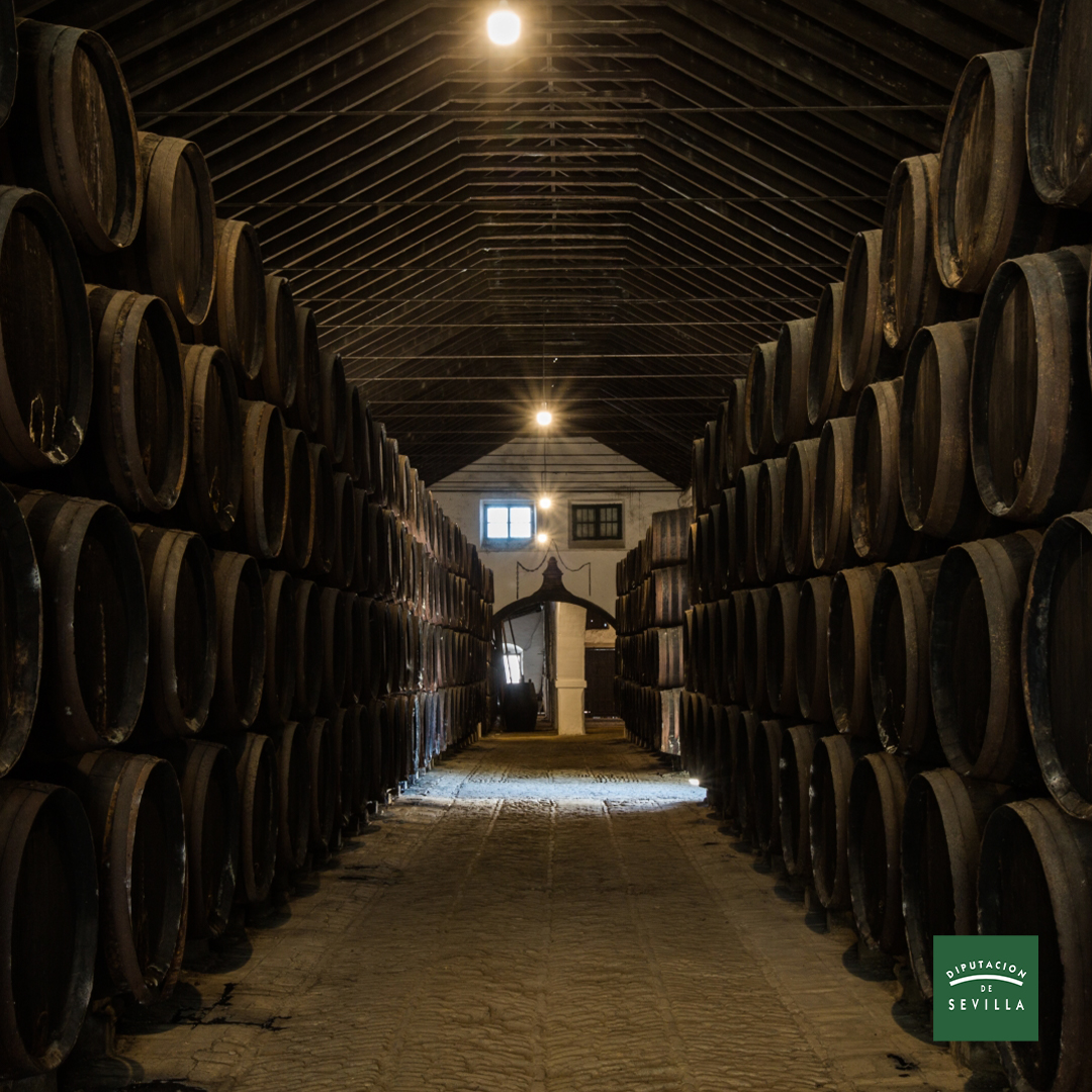 🚶‍♀️ #NosVamosDeRuta | Villanueva del Ariscal, la tierra del vino aljarafeño 🧐 ¿Qué podemos ver? - Iglesia Santa María de las Nieves y el centro urbano - Bodegas Góngora - Ermita de San Miguel #SevillaEsProvincia