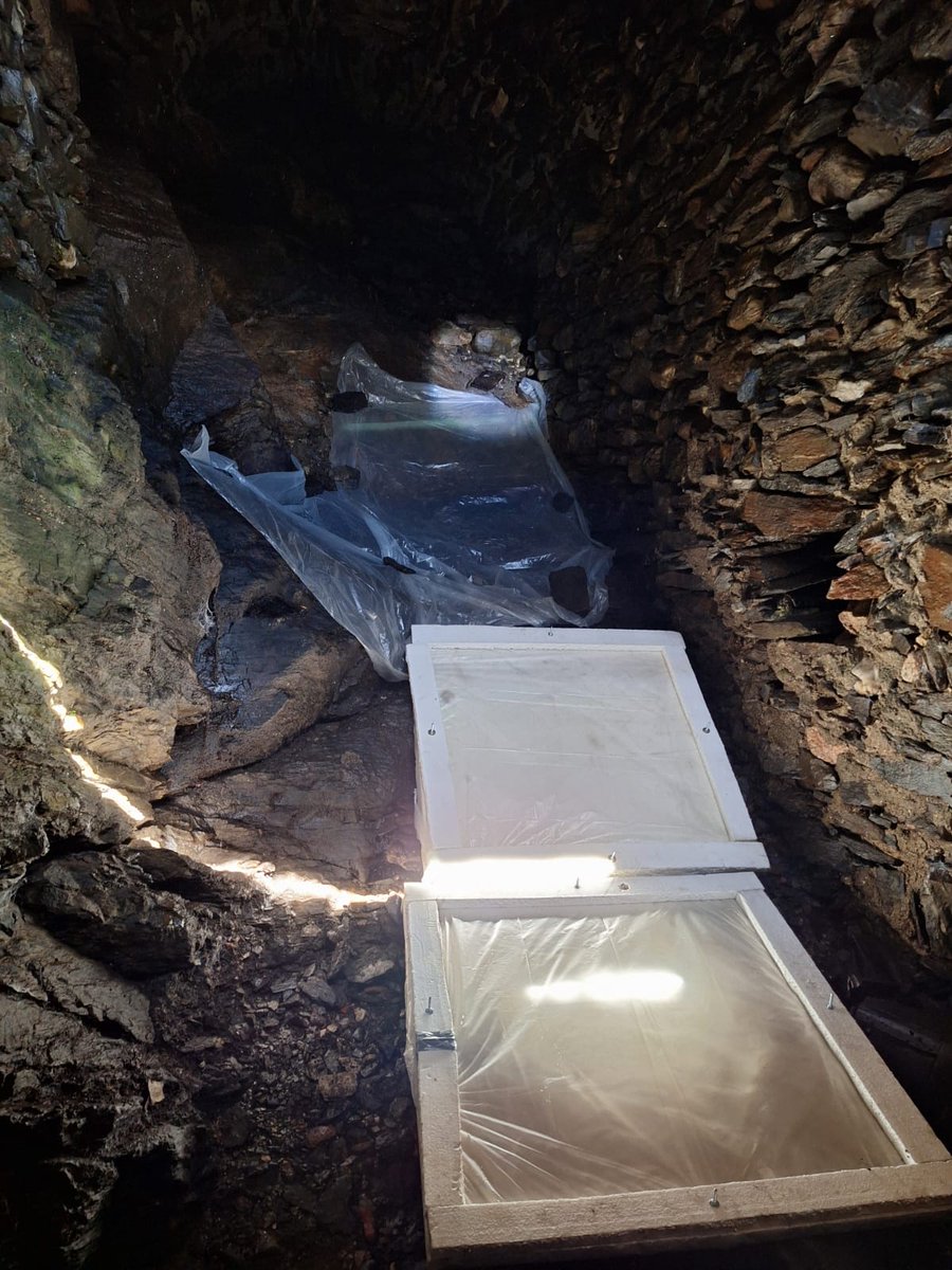 BATSSignals_PRIN tweet media