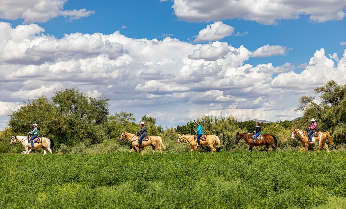 Gallop into adventure! Your favorite dude ranch is calling, ready for you to explore its hidden wonders atop a majestic steed. 🐎 🌄 
#NewMexicoTrue