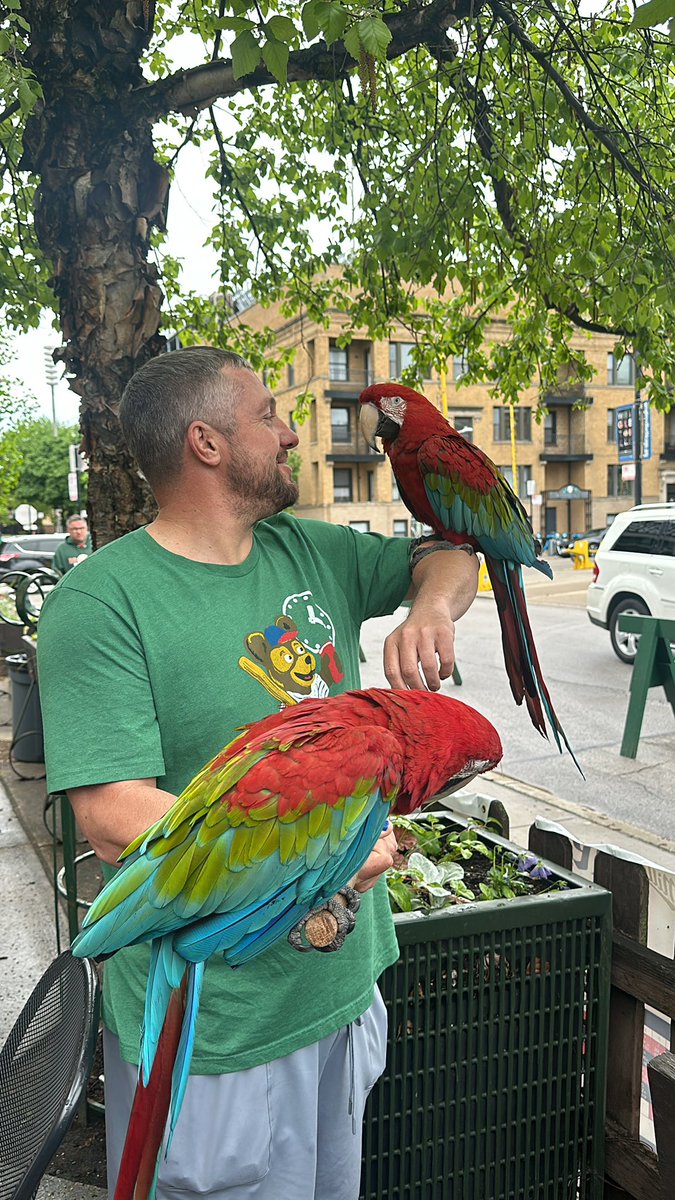 Just another day in Wrigleyville