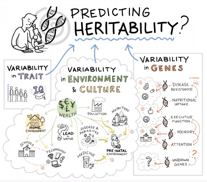 Using models of Gene-Culture coevolution to predict heritability

cambridge.org/core/journals/…