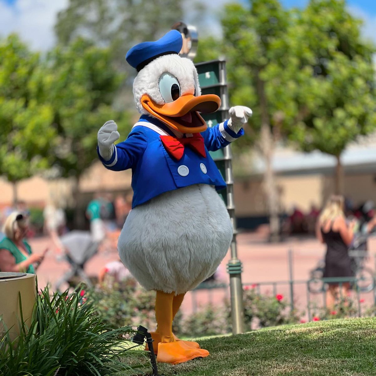 Happy Friday! Donald is definitely happy it’s the weekend! #donaldduck #FridayFeeling #DisneyWorld #disneyshollywoodstudios