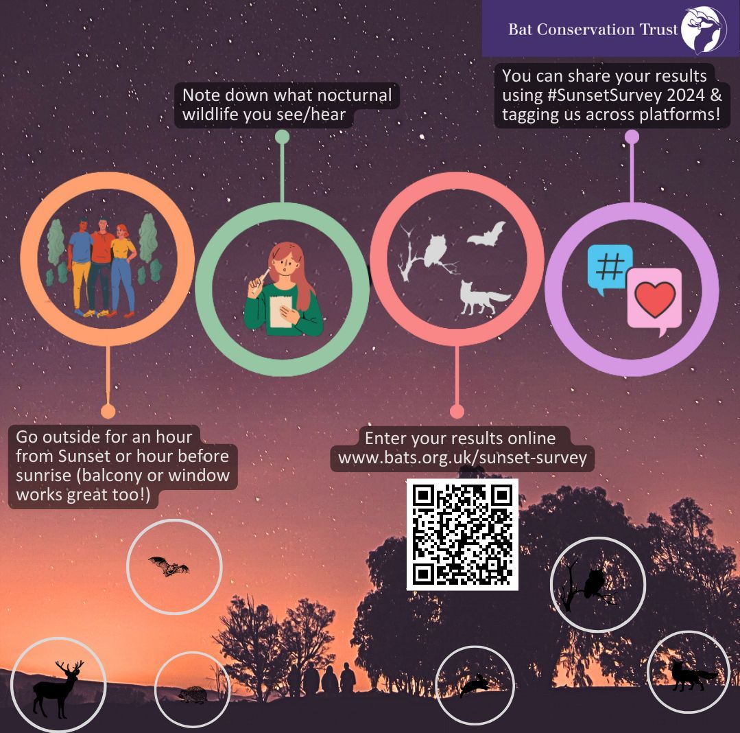 The official @BCT_NBMP #SunsetSurvey2024 weekend is 2 weeks away on 17-19 May! Will you be taking part?! It's easy to take part and you don't need any experience. You can also do it from a balcony or your window. Get involved: buff.ly/36ZrPoP