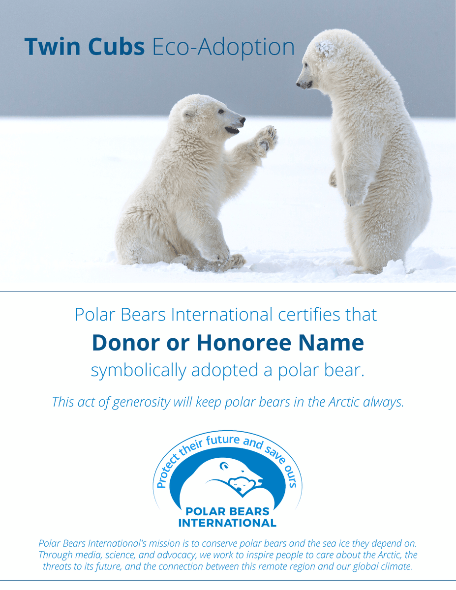 Mother’s Day is May 12! Send the mother figure in your life a warm hug with a polar bear ecard or mom and cub symbolic adoption kit! Take a look at all our offerings in our shop: shop.polarbearsinternational.org