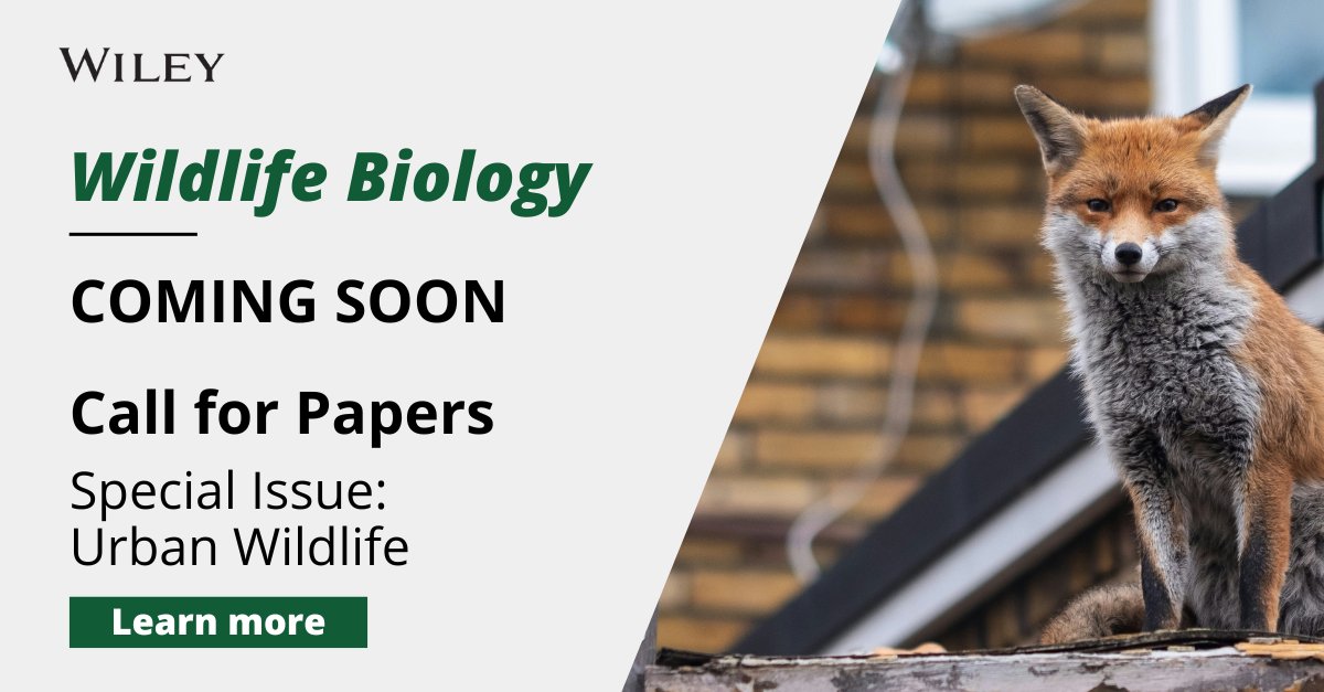 Special Issue Call for Papers coming soon 🗓️ We will invite contributions that delve into wildlife's adaptation to urban environments and their interactions with humans. @WildlifeBiol @NordicOikos #Wildlife #Research Learn more 🔗 ow.ly/6K2T50RtHRM