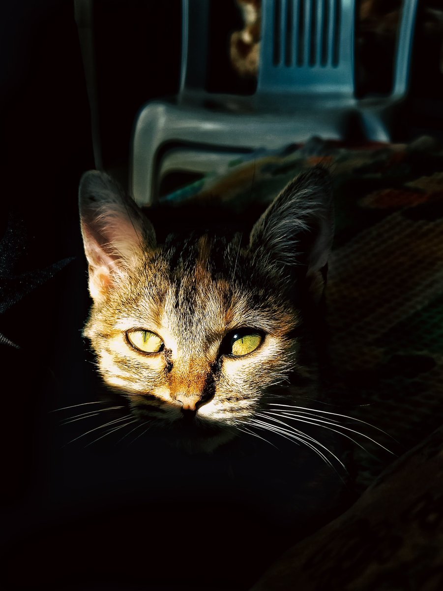 𝓞 (@okanssoylu) on Twitter photo 