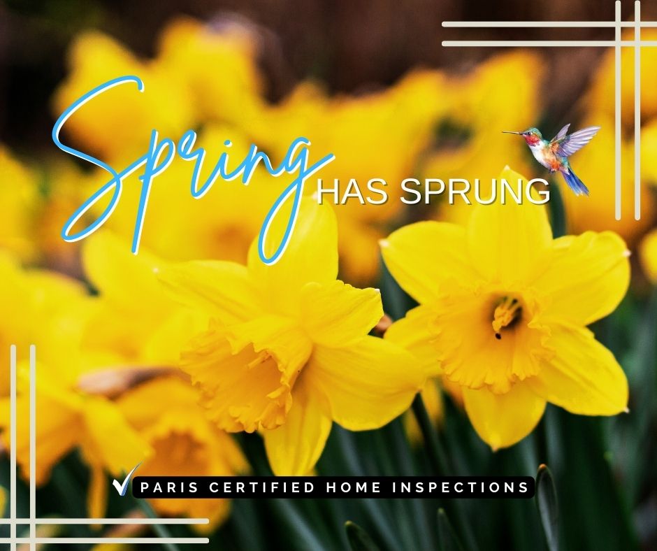 The birds are chirping, and the flowers are blooming! 🌷
Take some allergy meds and get out there!  Make your yard stand out by pruning shrubs, and adding pops of color with fresh flowers.🪻 
#inspectormatt #pchi #homeinspector #SpringIsHere #OutdoorLiving #YardRefresh