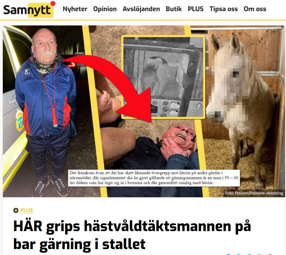 İsveç medyası | Türkiye'de terör suçundan aranan Öner Senanik adlı 72 yaşındaki bir PKK'lı Kürt göçmen İsveç'te atlara tecavüz etmek için gizlice girdiği bir ahırda polis tarafından yakalandı. İsveç medyası, kendisini yakalayan polisi bıçaklamaya çalışmakla da suçlandığını ve…