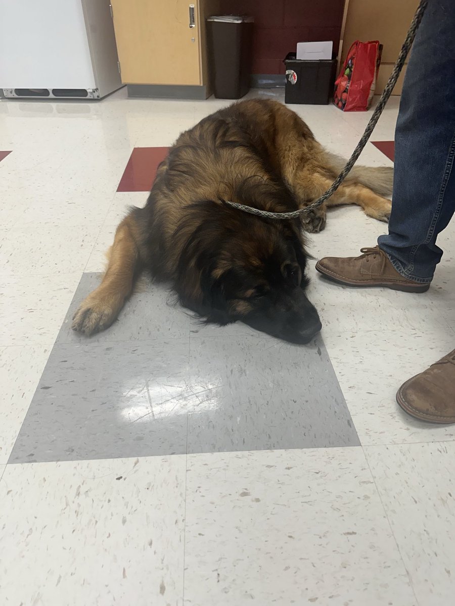 BHS Guidance (@bhsguidancedept) on Twitter photo Fridays are always better with friends! Thank you, Creature Comfort! <a href="/BernardsHS/">Bernards High School</a> Fridays are always better with friends! Thank you, Creature Comfort! <a href="/BernardsHS/">Bernards High School</a>