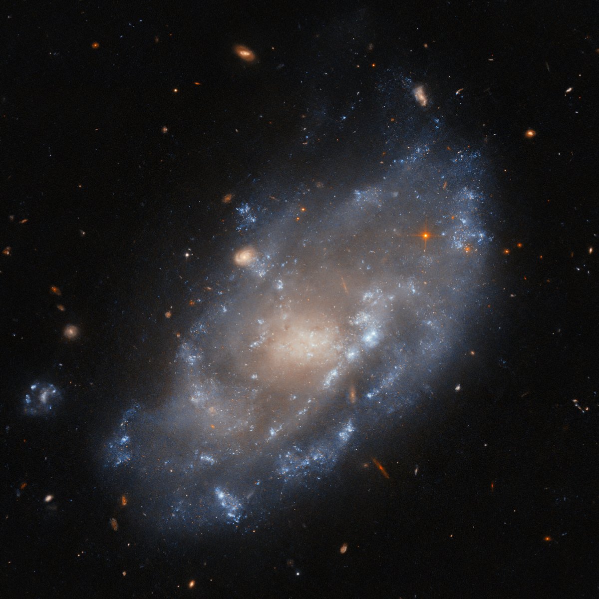 IC 776 is kind of a complicated galaxy. It's both a dwarf galaxy and a 'weakly barred' spiral galaxy – it has a ragged, disturbed central disc that spirals around the galactic core with arcs of star-forming regions. For more on this #HubbleFriday image: go.nasa.gov/4dr0itS